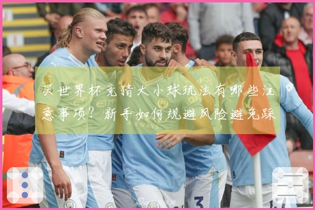 买世界杯竞猜大小球玩法有哪些注意事项？新手如何规避风险避免踩坑
