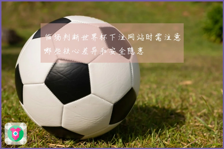 临场判断世界杯下注网站时需注意哪些核心差异和安全隐患