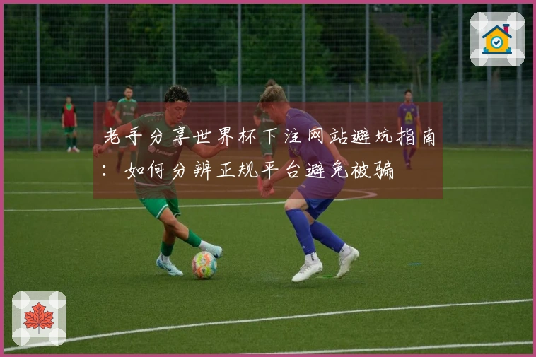 老手分享世界杯下注网站避坑指南：如何分辨正规平台避免被骗