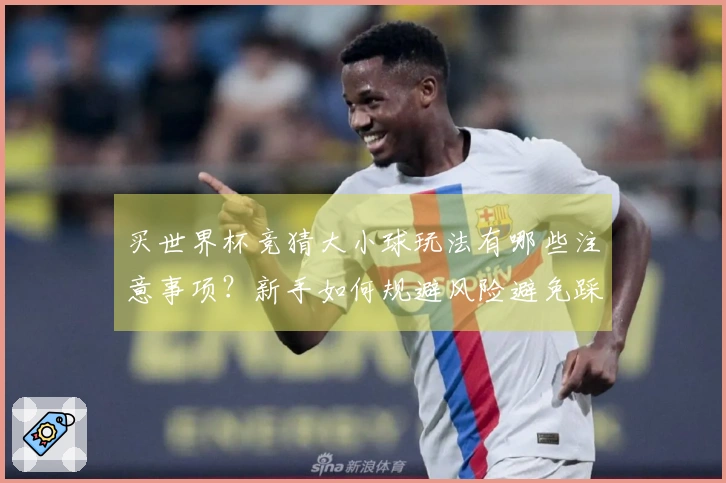 买世界杯竞猜大小球玩法有哪些注意事项？新手如何规避风险避免踩坑