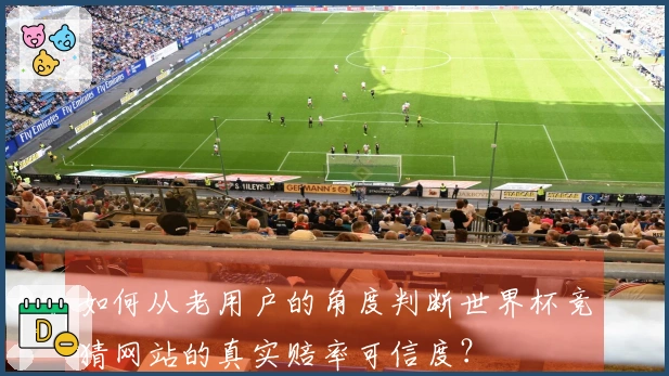 如何从老用户的角度判断世界杯竞猜网站的真实赔率可信度？