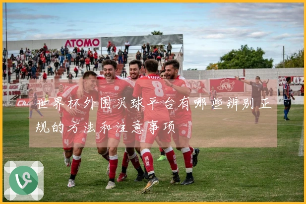 世界杯外围买球平台有哪些辨别正规的方法和注意事项