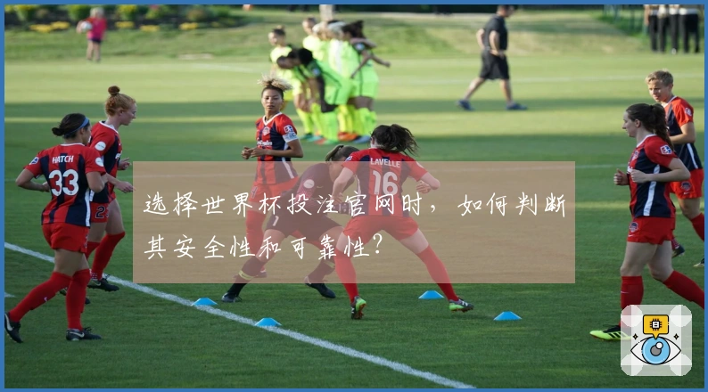 选择世界杯投注官网时，如何判断其安全性和可靠性？