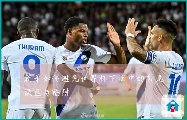 新手如何避免世界杯下注中的常见误区与陷阱