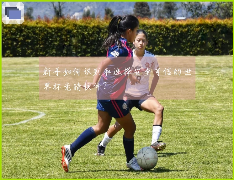 新手如何识别和选择安全可信的世界杯竞猜软件？