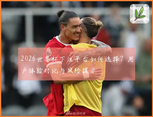 2026世界杯下注平台如何选择？用户体验对比与风险提示