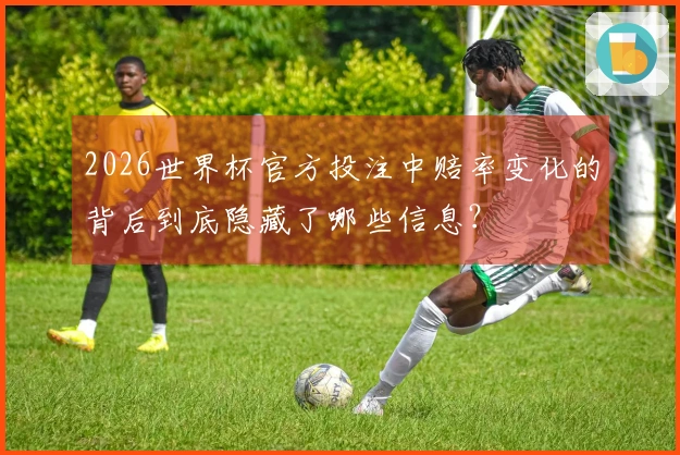 2026世界杯官方投注中赔率变化的背后到底隐藏了哪些信息？