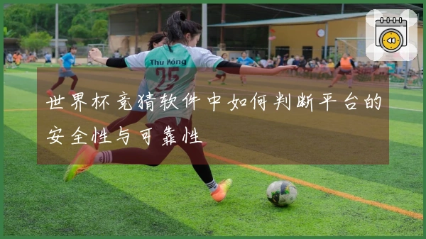 世界杯竞猜软件中如何判断平台的安全性与可靠性