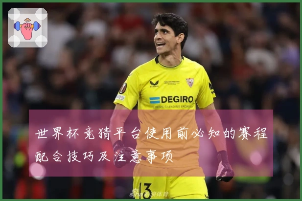 世界杯竞猜平台使用前必知的赛程配合技巧及注意事项