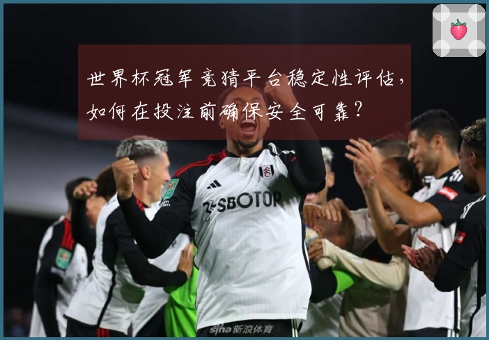 世界杯冠军竞猜平台稳定性评估，如何在投注前确保安全可靠？