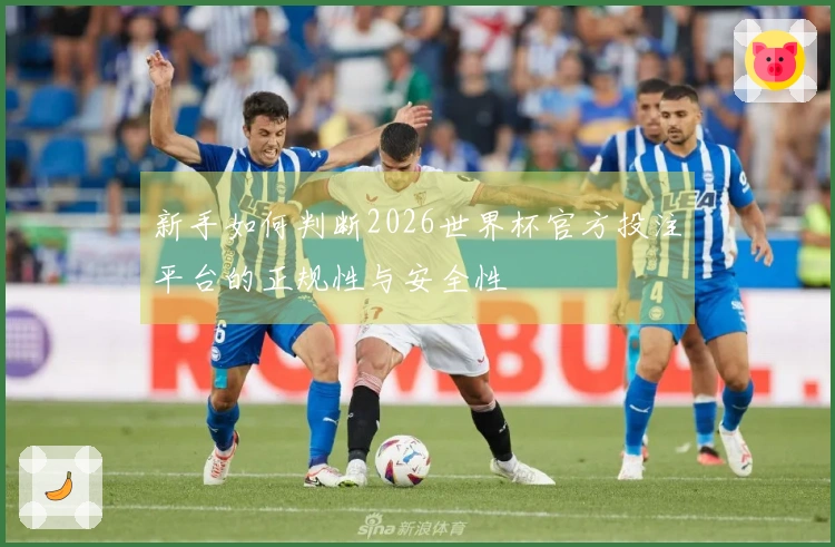 新手如何判断2026世界杯官方投注平台的正规性与安全性