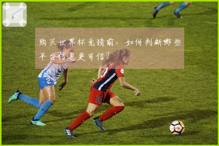 购买世界杯竞猜前，如何判断哪些平台信息更可信？