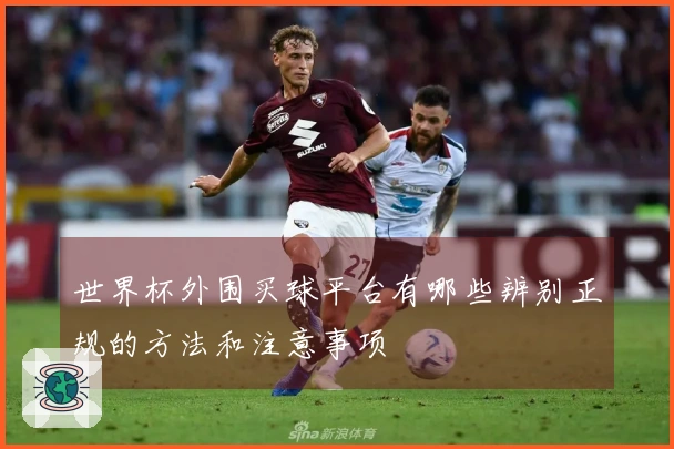 世界杯外围买球平台有哪些辨别正规的方法和注意事项