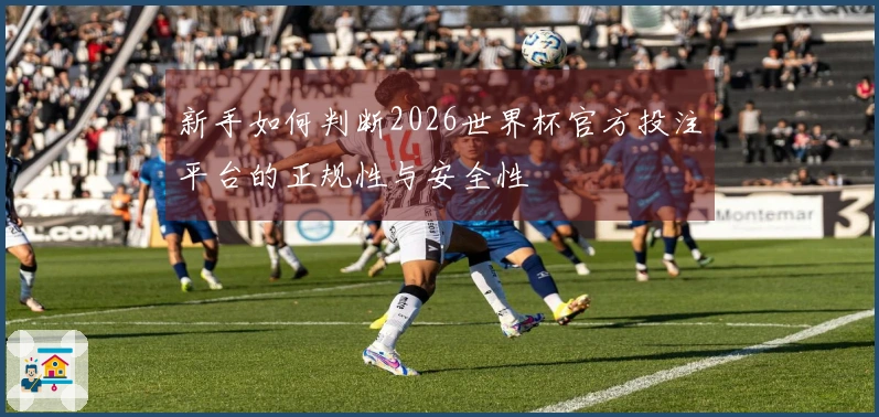 新手如何判断2026世界杯官方投注平台的正规性与安全性