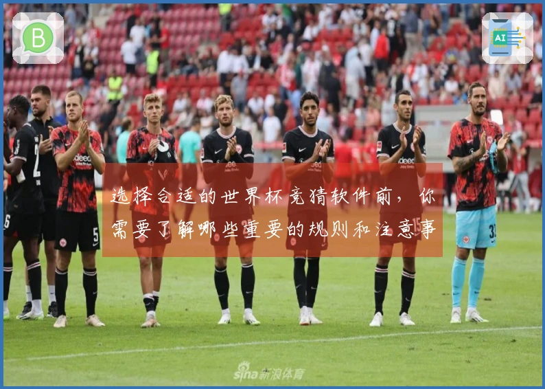 选择合适的世界杯竞猜软件前，你需要了解哪些重要的规则和注意事项？