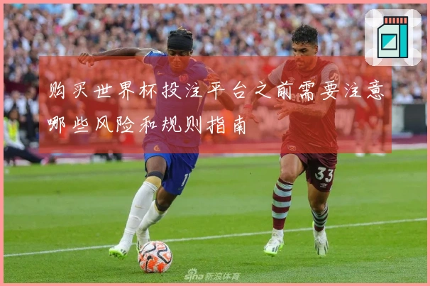 购买世界杯投注平台之前需要注意哪些风险和规则指南