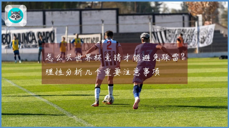 怎么买世界杯竞猜才能避免踩雷？理性分析几个重要注意事项
