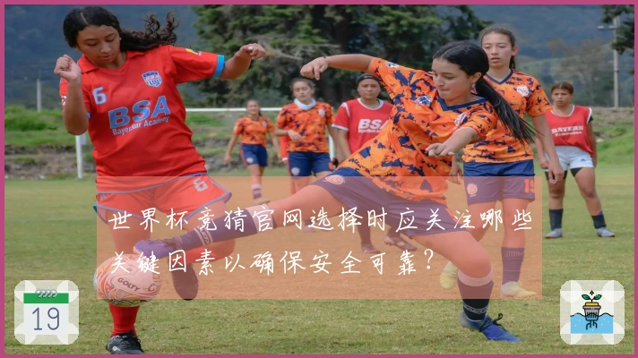 世界杯竞猜官网选择时应关注哪些关键因素以确保安全可靠？