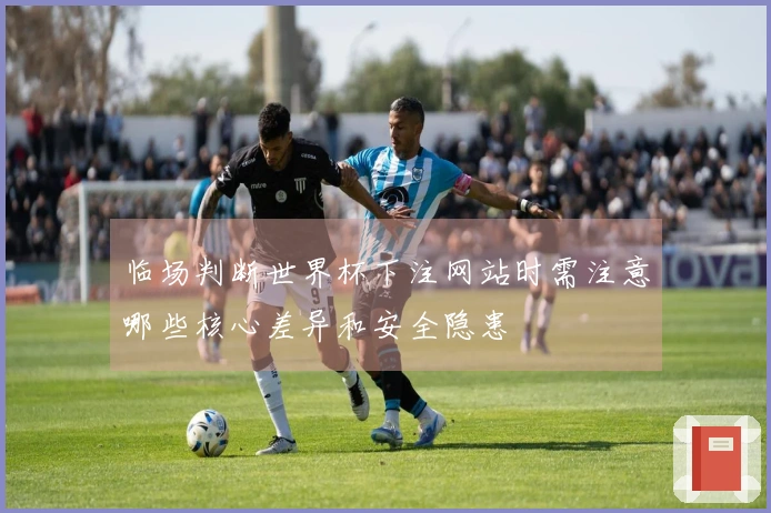 临场判断世界杯下注网站时需注意哪些核心差异和安全隐患