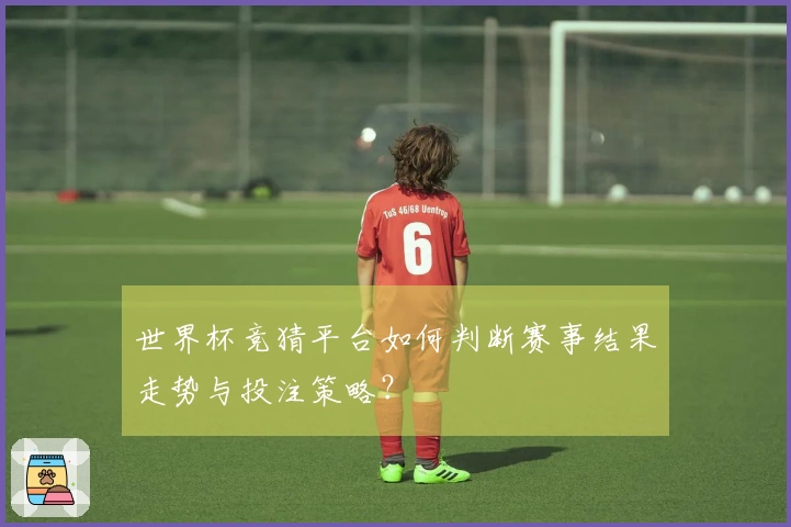 世界杯竞猜平台如何判断赛事结果走势与投注策略？