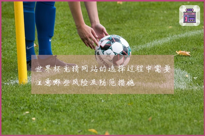 世界杯竞猜网站的选择过程中需要注意哪些风险及防范措施
