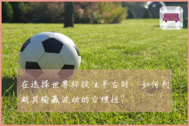 在选择世界杯投注平台时，如何判断其输赢波动的合理性？