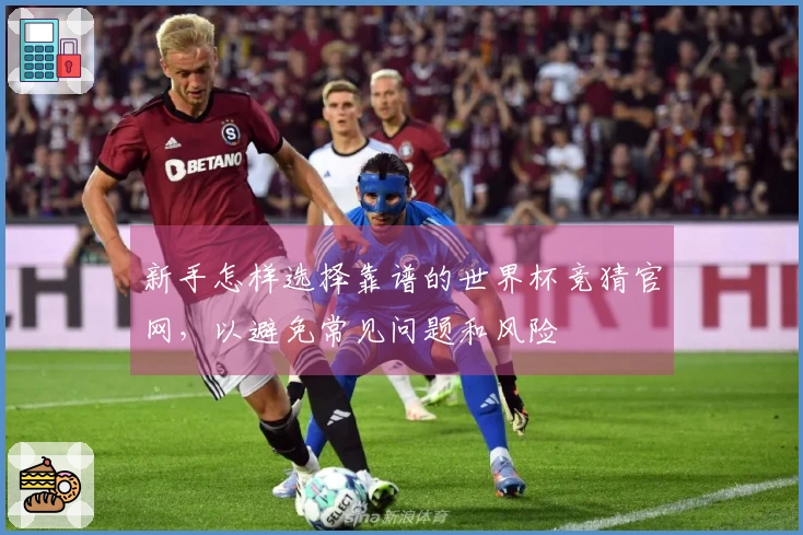新手怎样选择靠谱的世界杯竞猜官网，以避免常见问题和风险