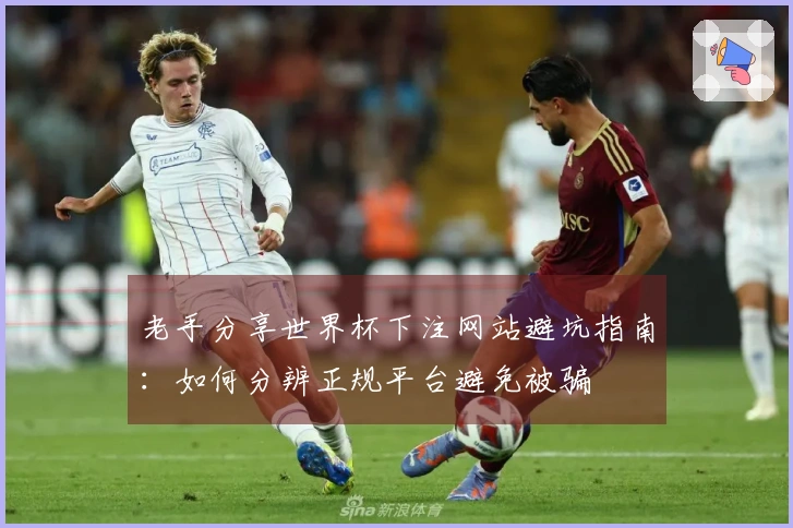 老手分享世界杯下注网站避坑指南：如何分辨正规平台避免被骗