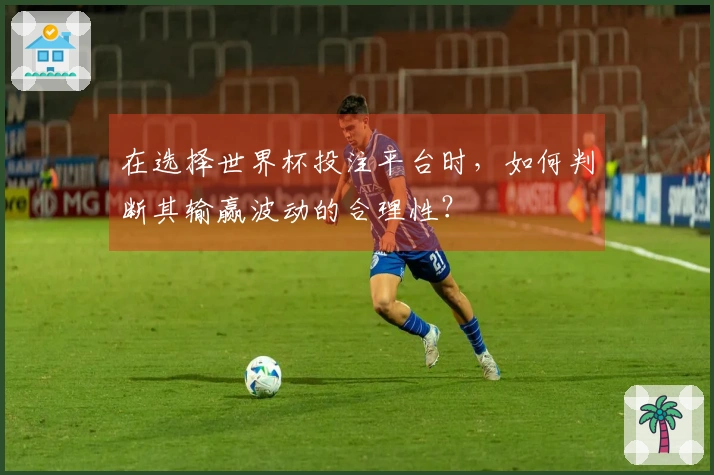 在选择世界杯投注平台时,如何判断其输赢波动的合理性?
